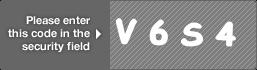 captcha code for visual authentication  letter V number 6 letter S number 4